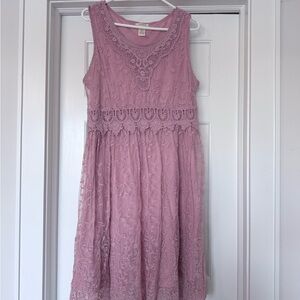 Sundance Delicate Pink Lace Dress